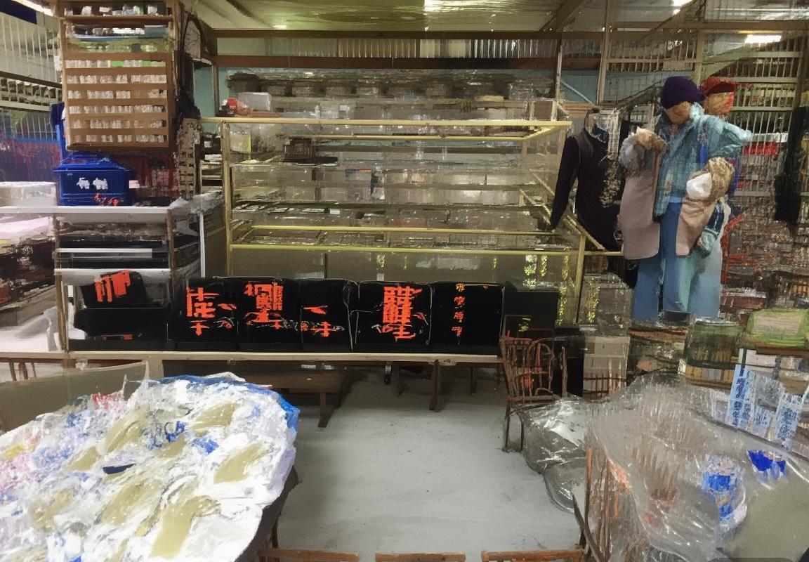 国安与蔚山交锋史：历史背景、战绩分析及未来展望(图2)